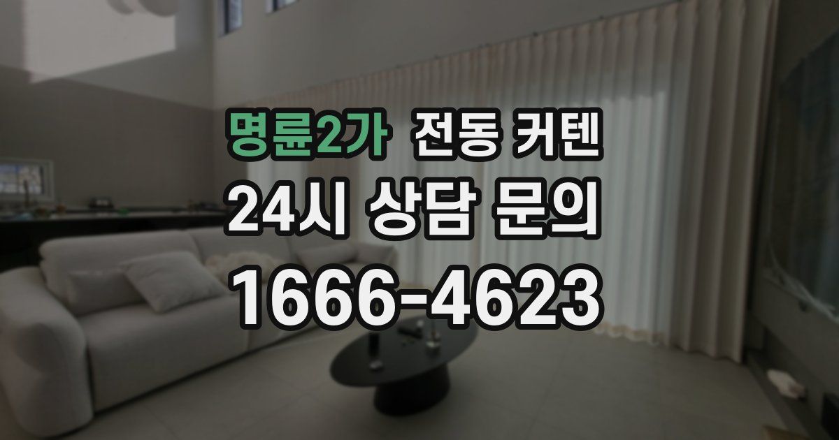 명륜2가 전동 커텐