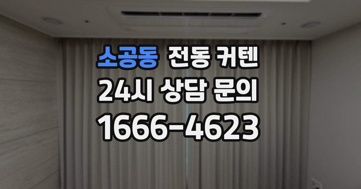소공동 전동 커텐
