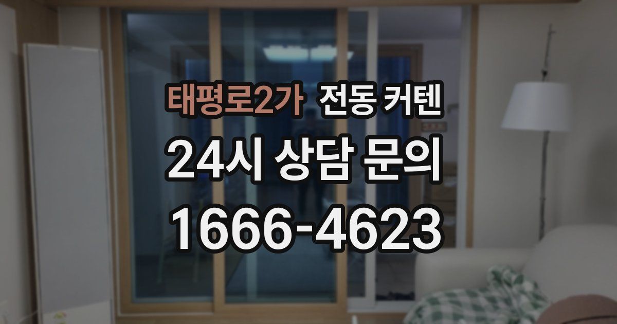 태평로2가 전동 커텐