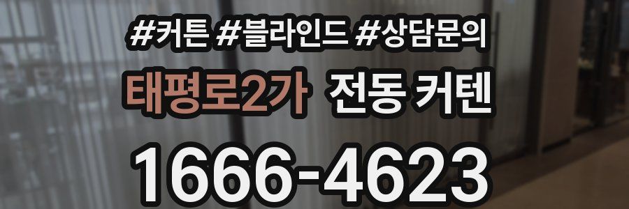 태평로2가 전동 커텐