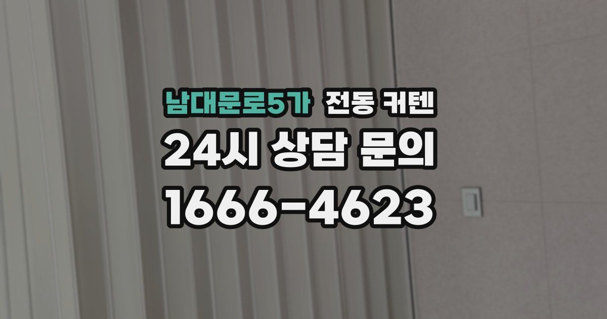 남대문로5가 전동 커텐