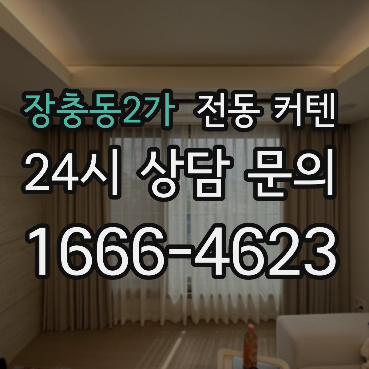 장충동2가 전동 커텐