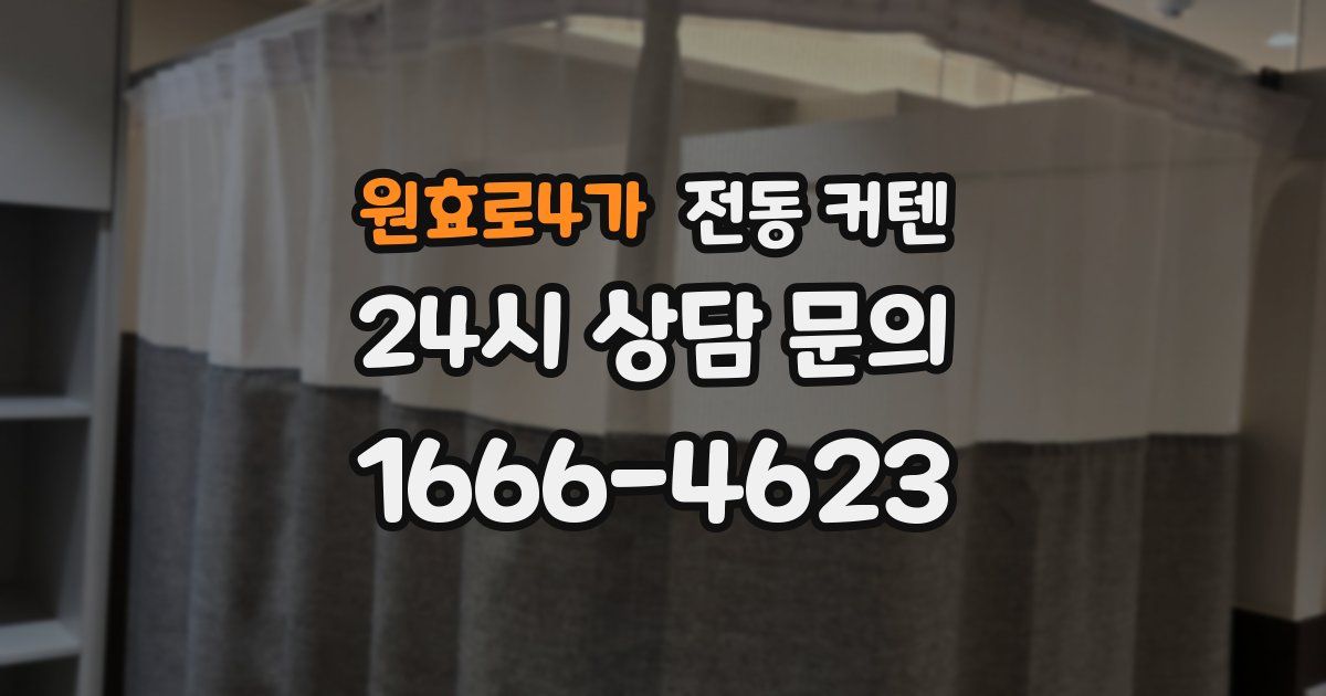 원효로4가 전동 커텐