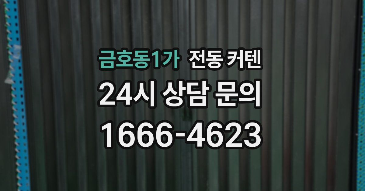 금호동1가 전동 커텐