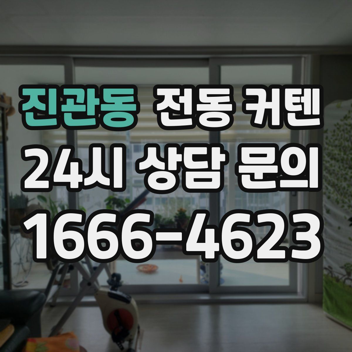 진관동 전동 커텐