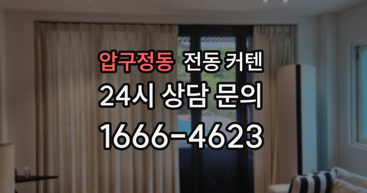 압구정동 전동 커텐