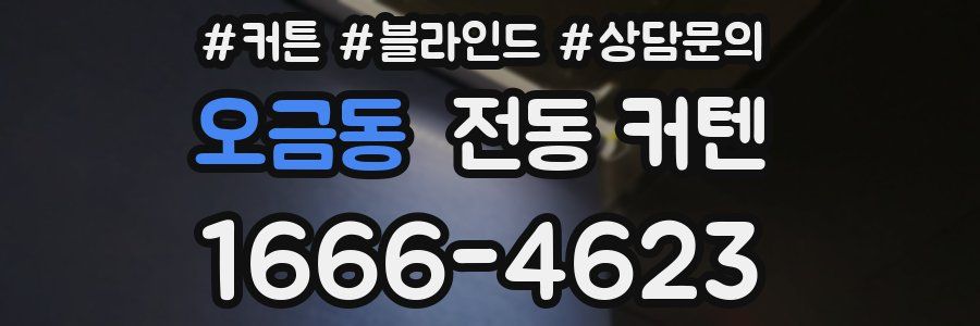오금동 전동 커텐