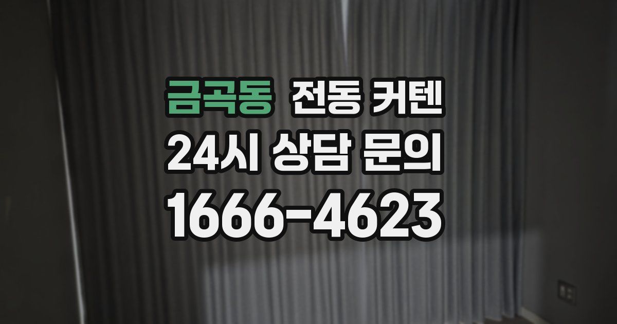 금곡동 전동 커텐