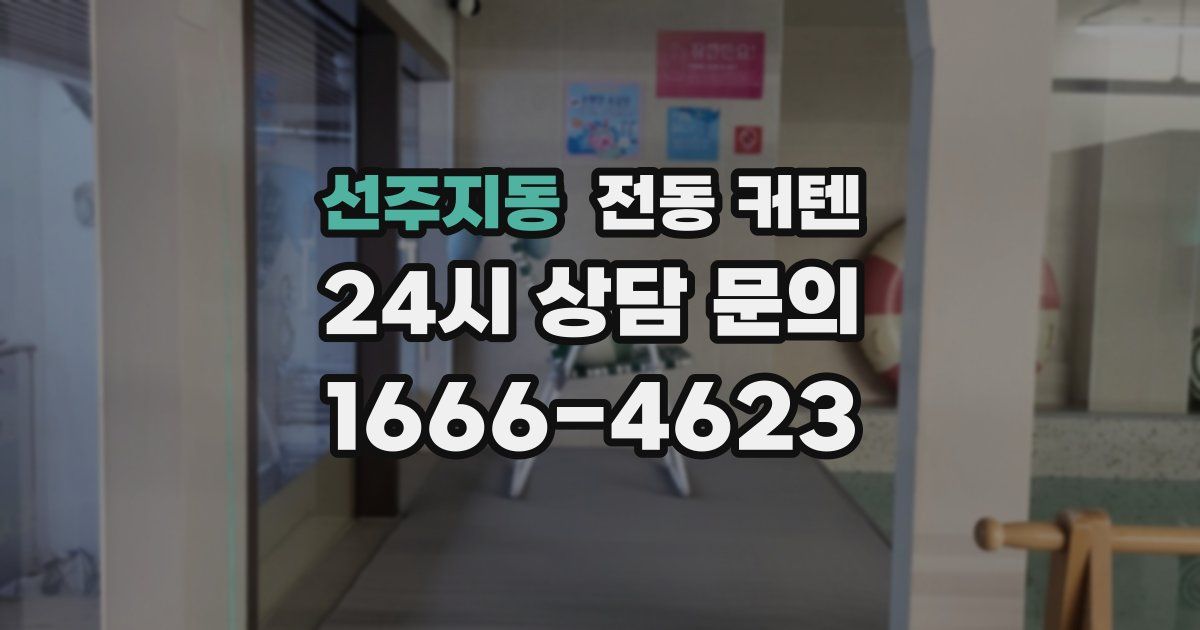선주지동 전동 커텐