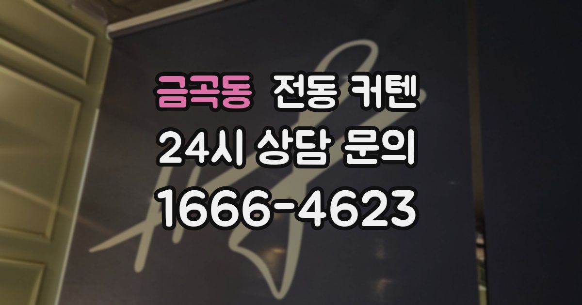 금곡동 전동 커텐
