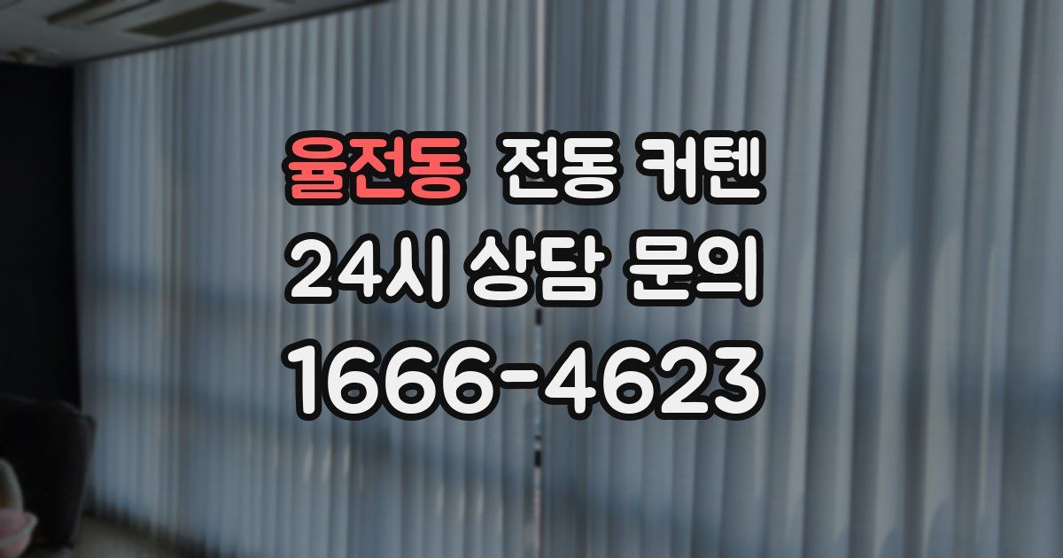 율전동 전동 커텐