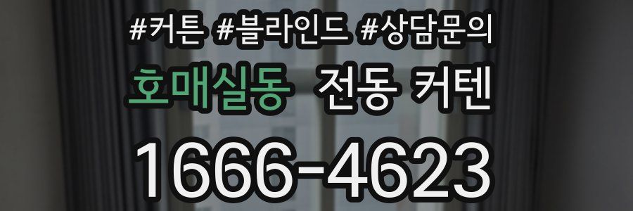 호매실동 전동 커텐