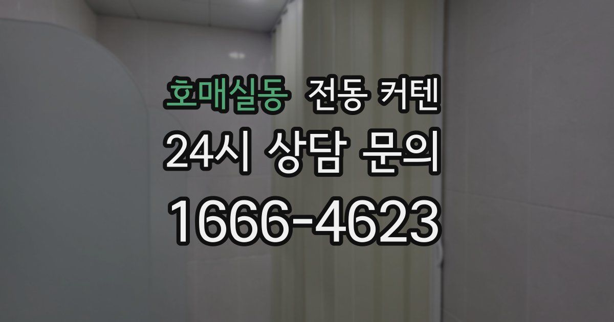 호매실동 전동 커텐
