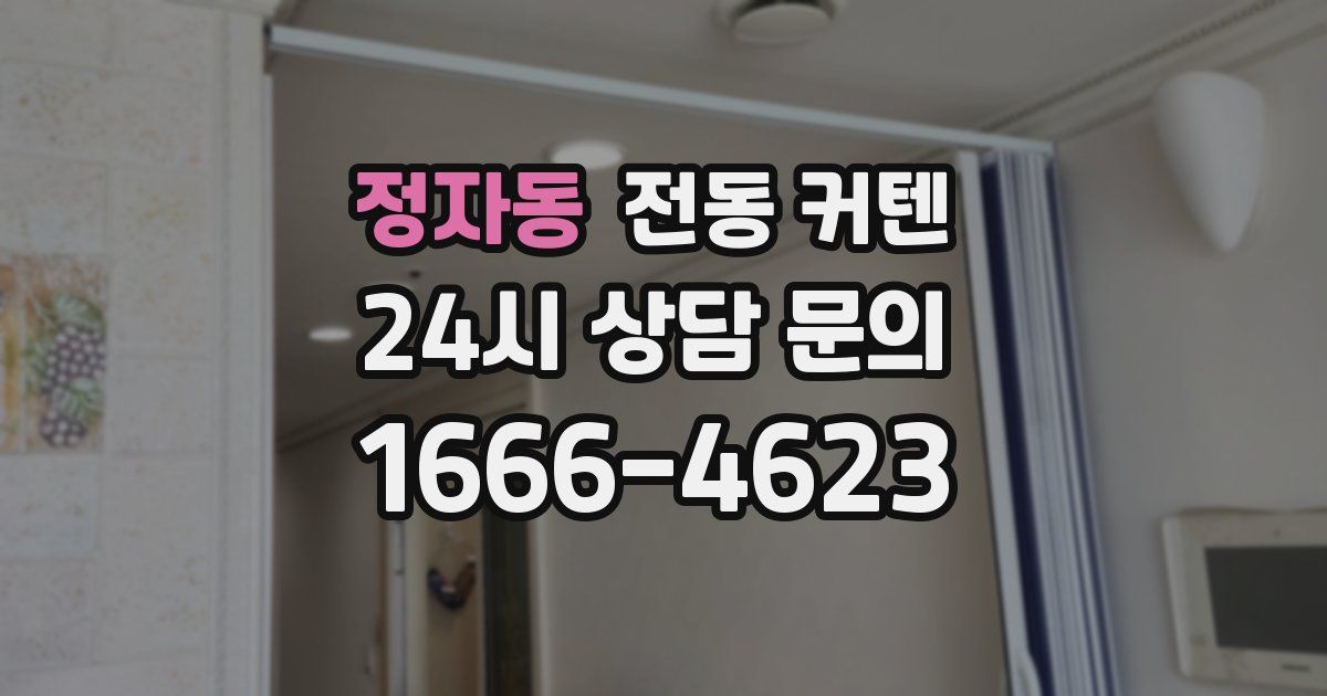 정자동 전동 커텐