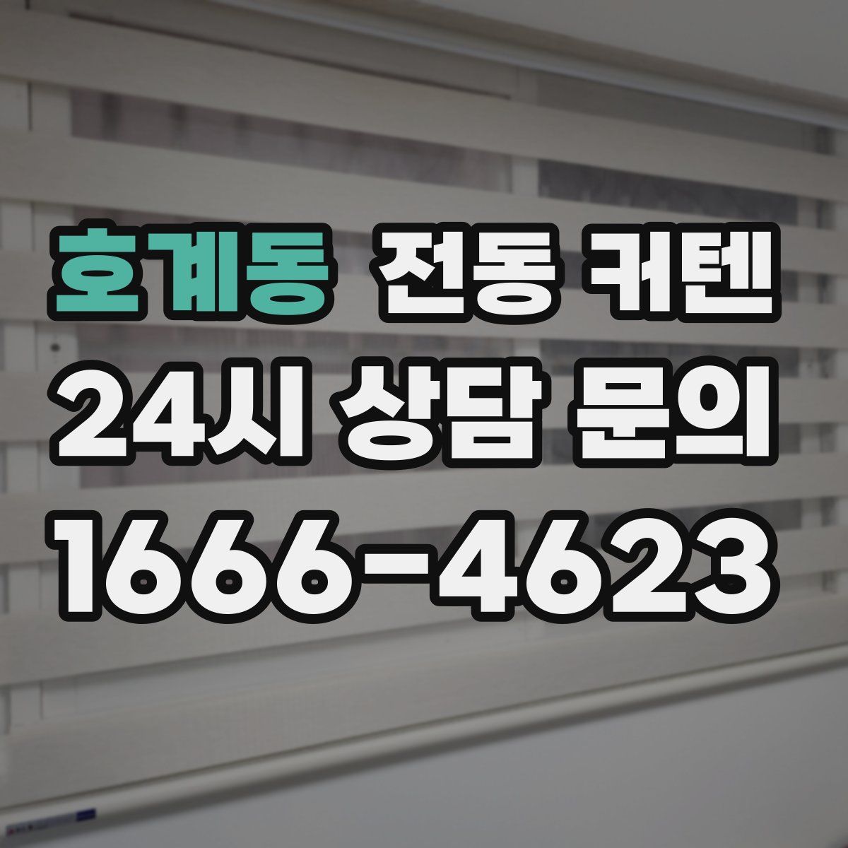 호계동 전동 커텐