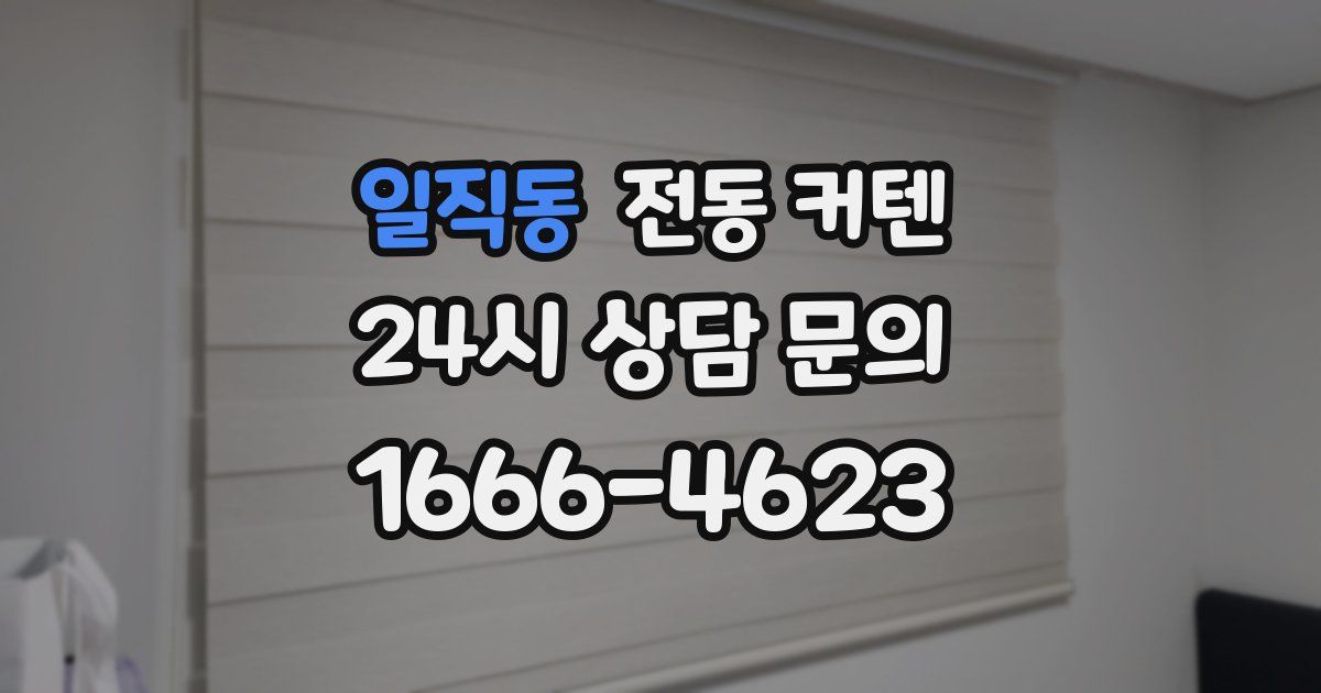 일직동 전동 커텐