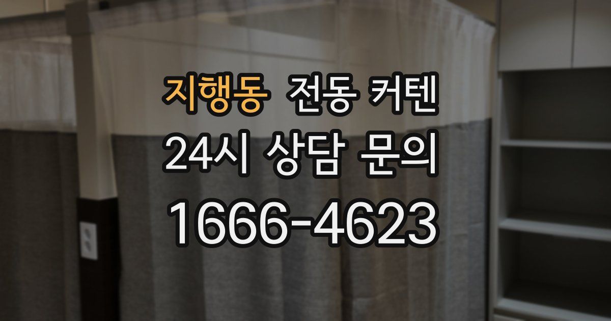 지행동 전동 커텐