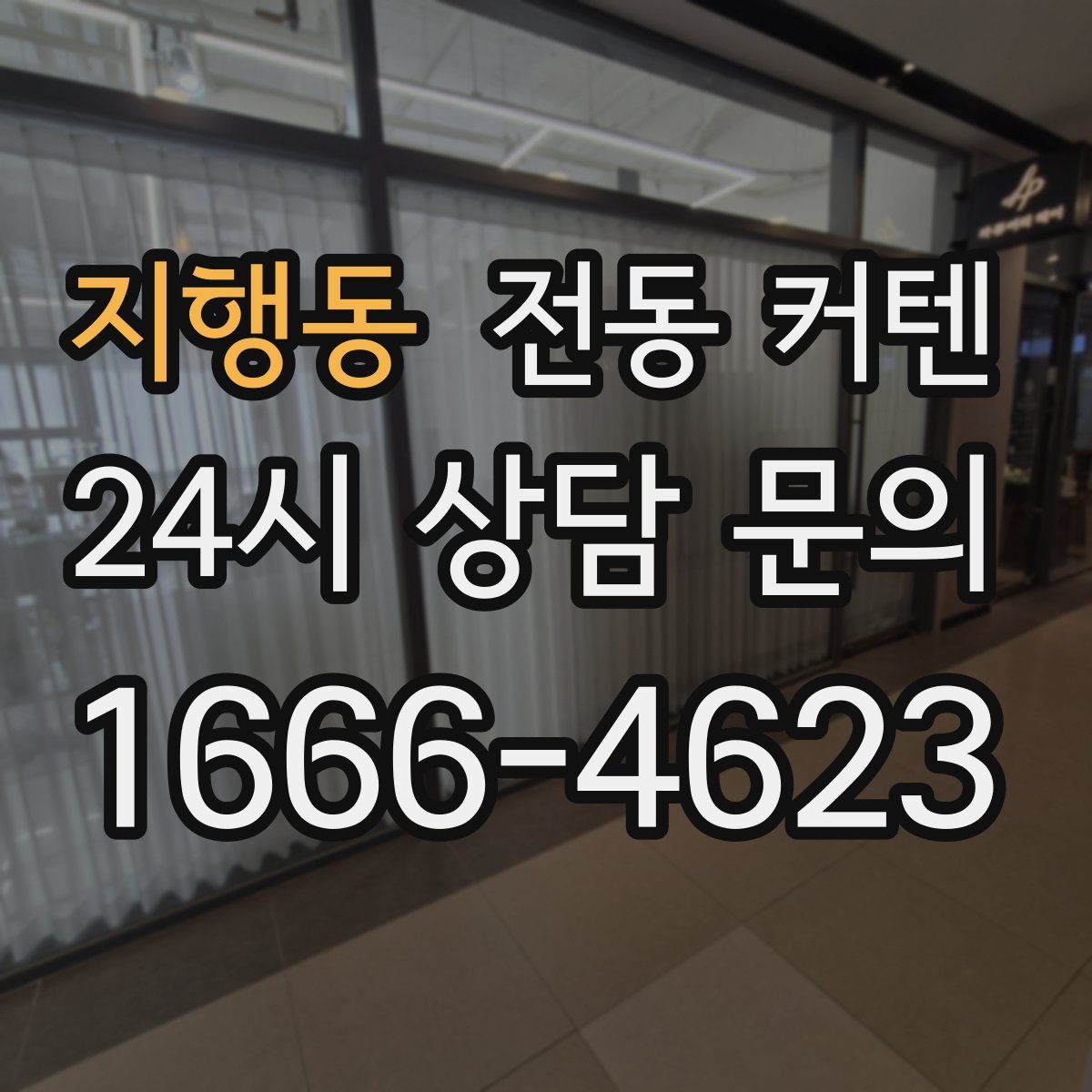 지행동 전동 커텐
