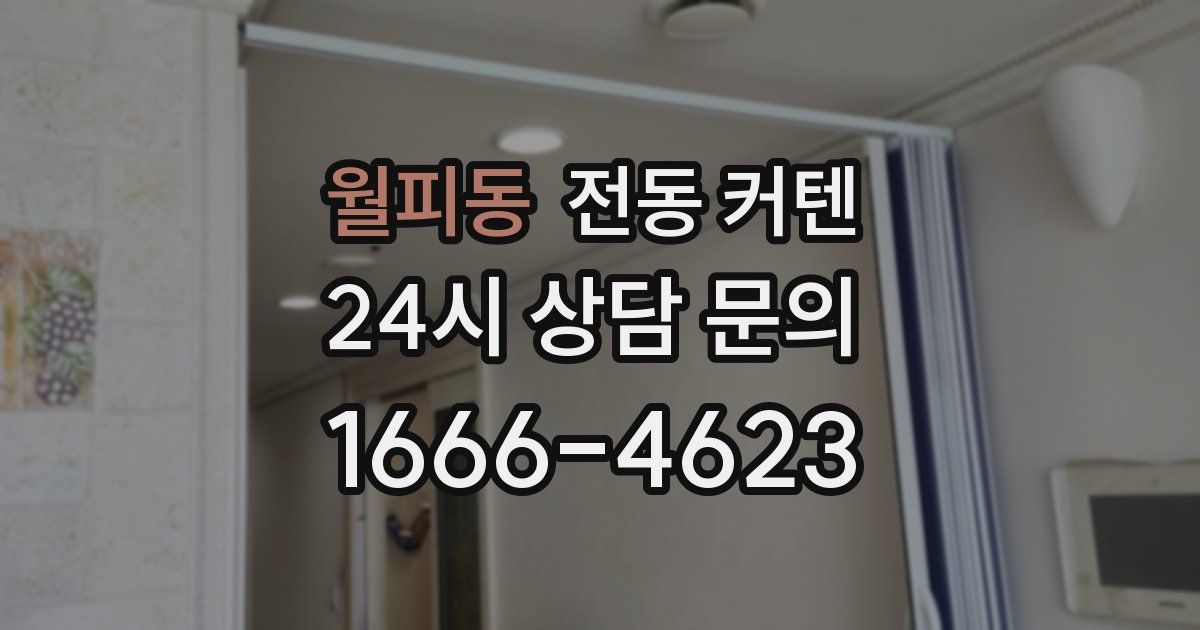 월피동 전동 커텐
