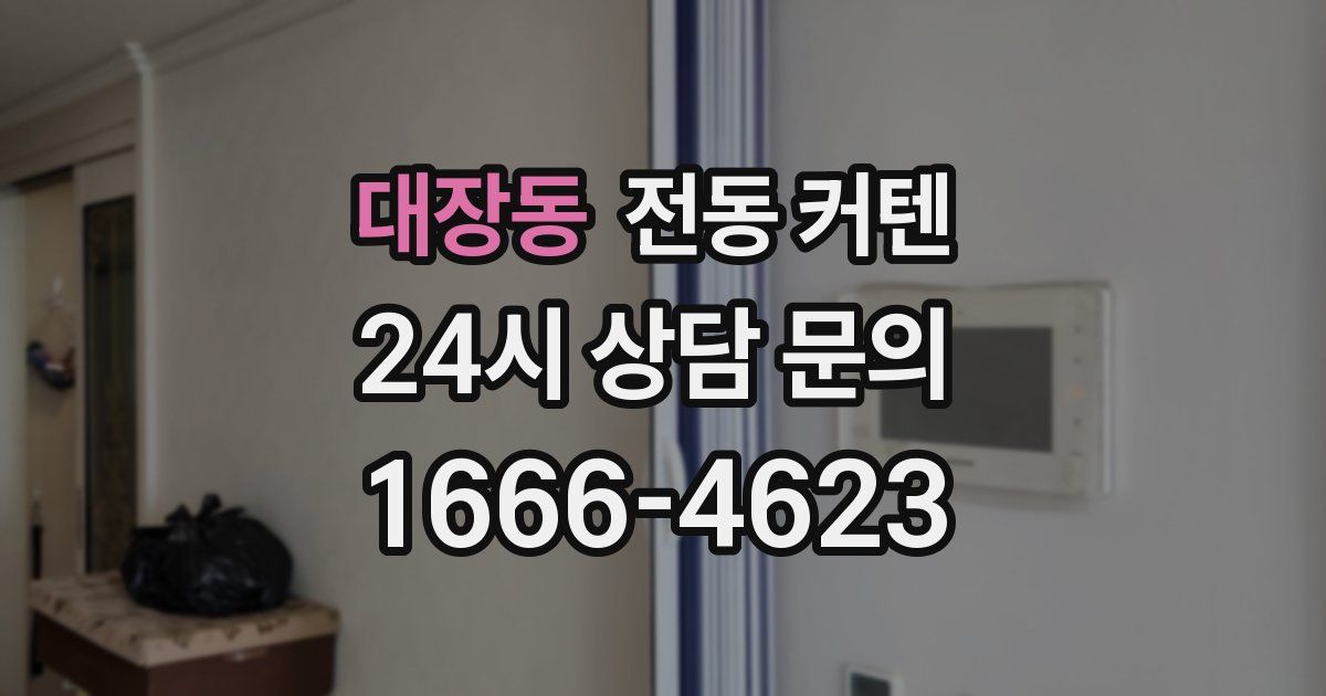 대장동 전동 커텐