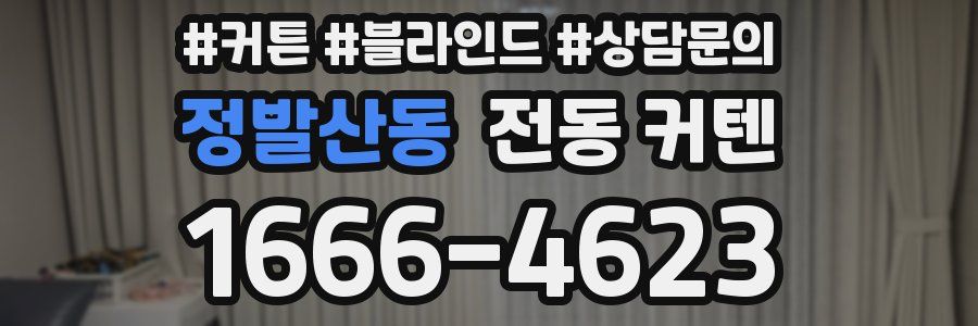 정발산동 전동 커텐