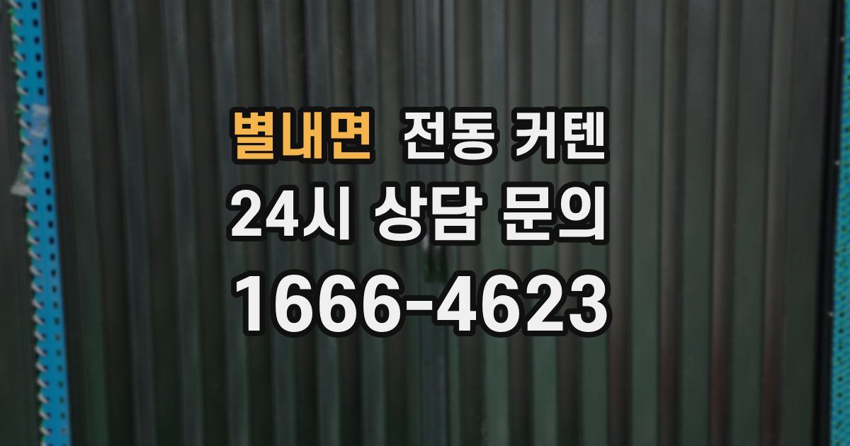 별내면 전동 커텐