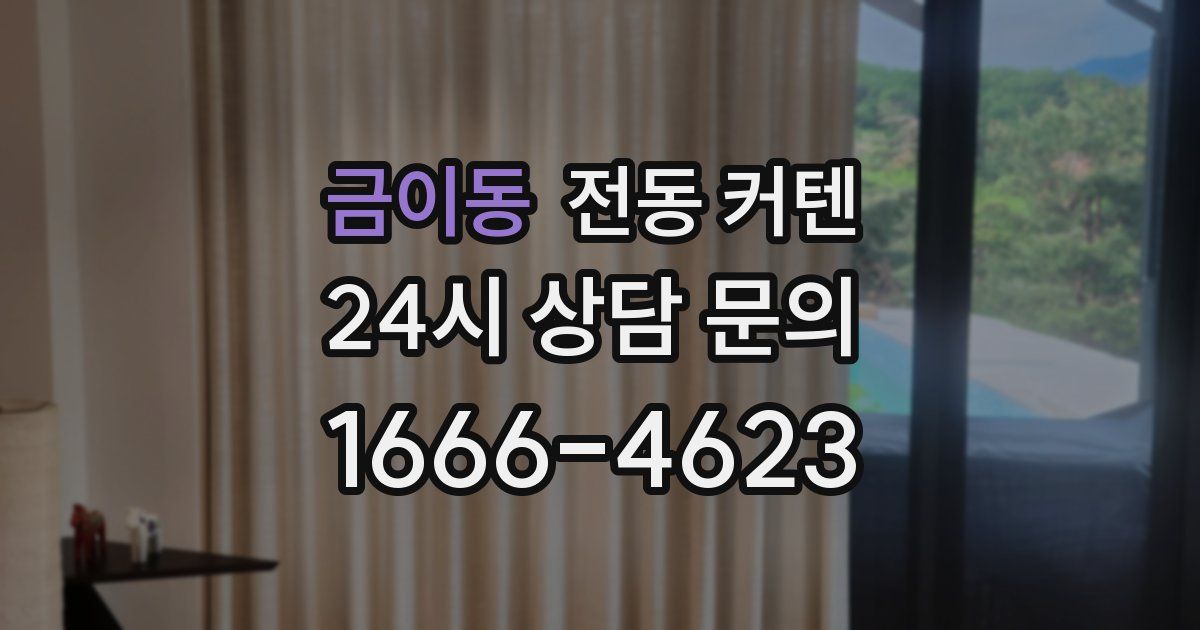 금이동 전동 커텐