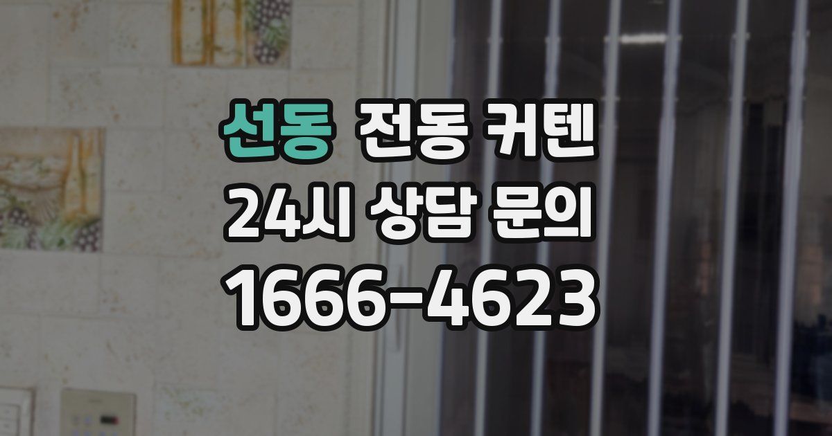 선동 전동 커텐