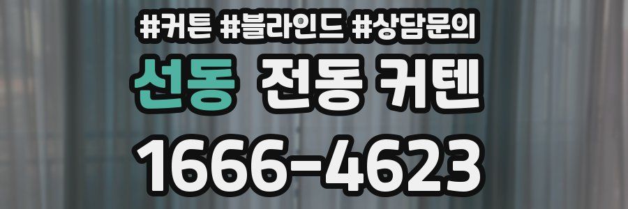 선동 전동 커텐