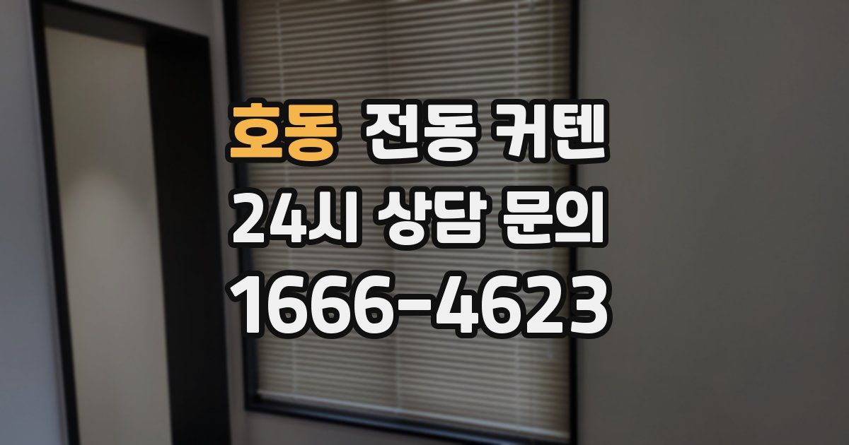 호동 전동 커텐