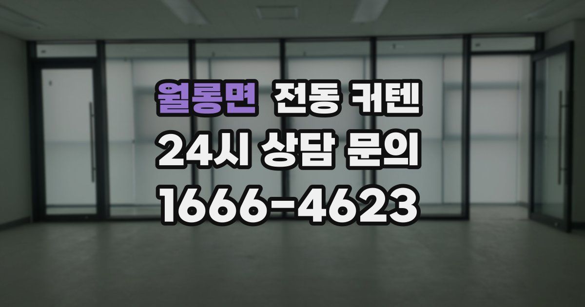 월롱면 전동 커텐