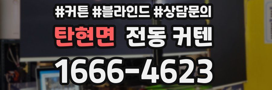탄현면 전동 커텐