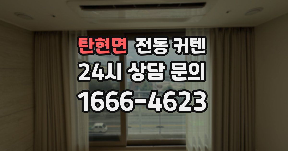 탄현면 전동 커텐