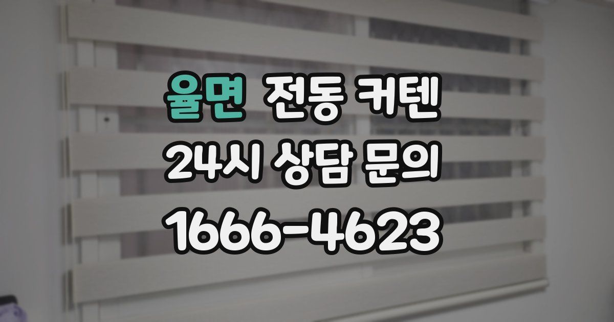 율면 전동 커텐