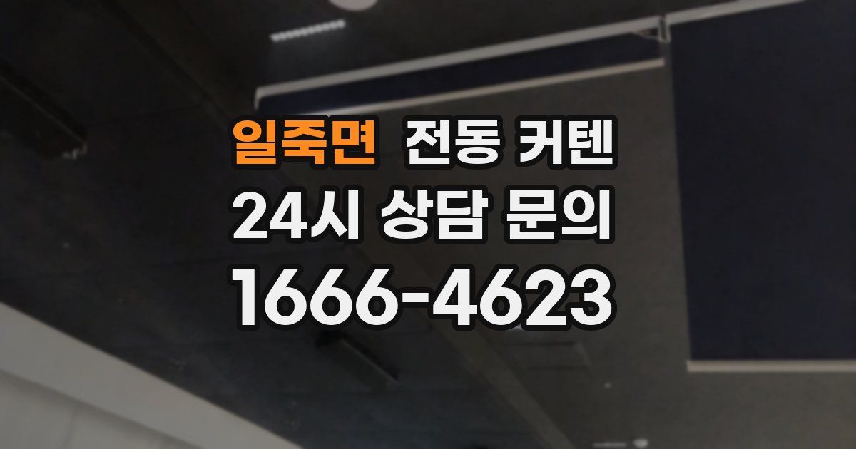 일죽면 전동 커텐