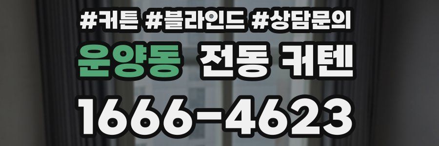 운양동 전동 커텐