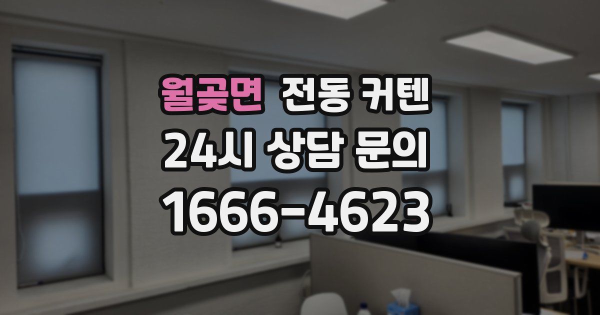 월곶면 전동 커텐