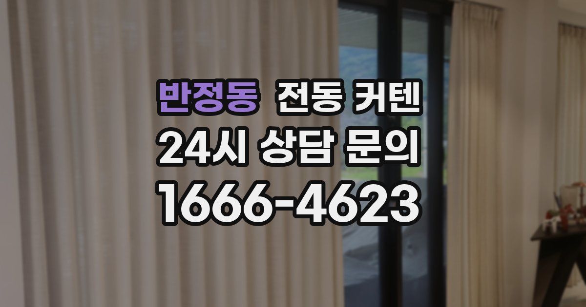 반정동 전동 커텐
