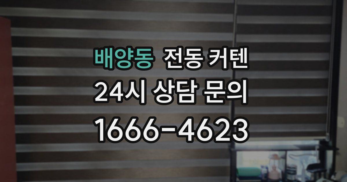 배양동 전동 커텐