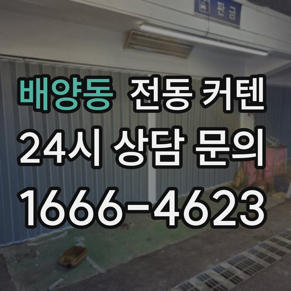 배양동 전동 커텐