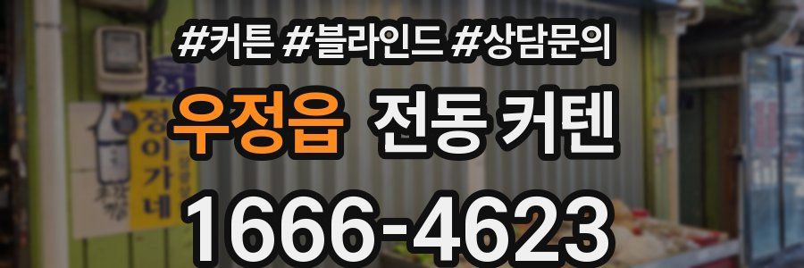 우정읍 전동 커텐