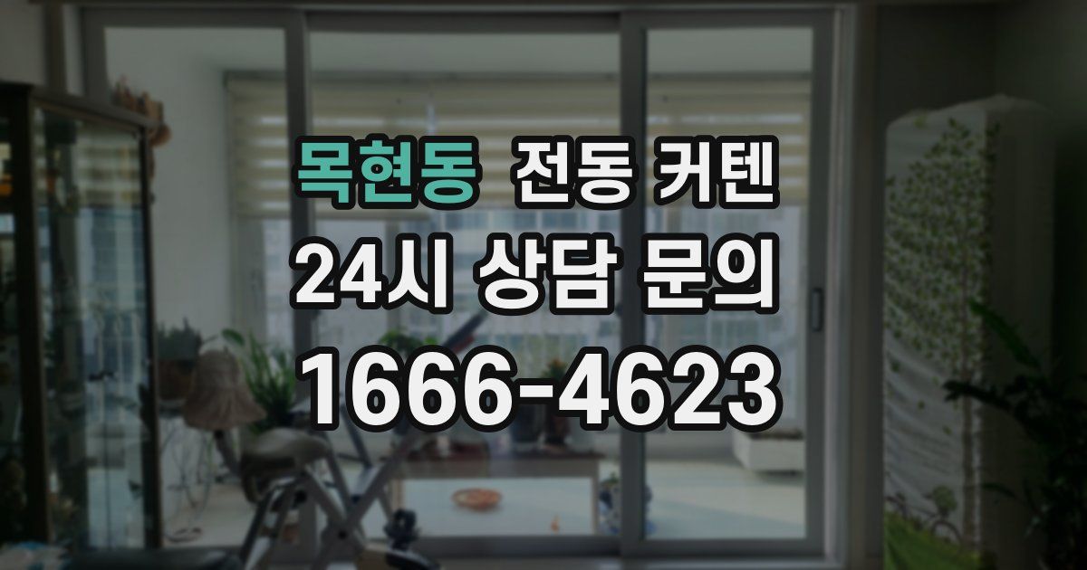 목현동 전동 커텐