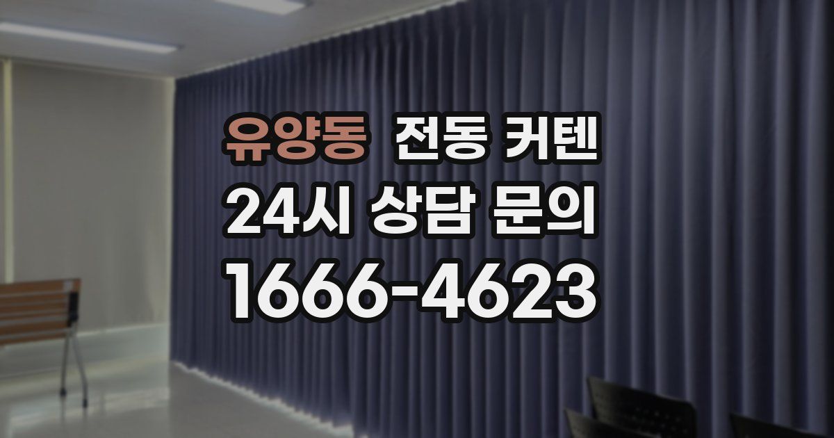 유양동 전동 커텐
