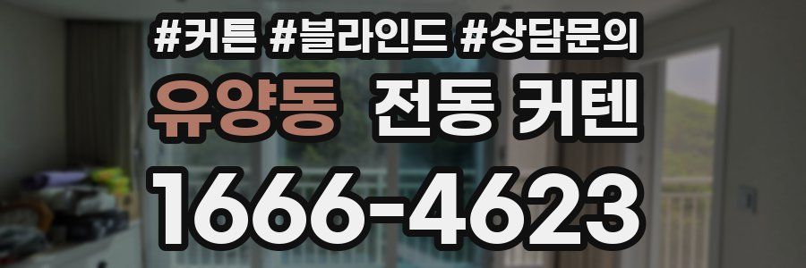 유양동 전동 커텐