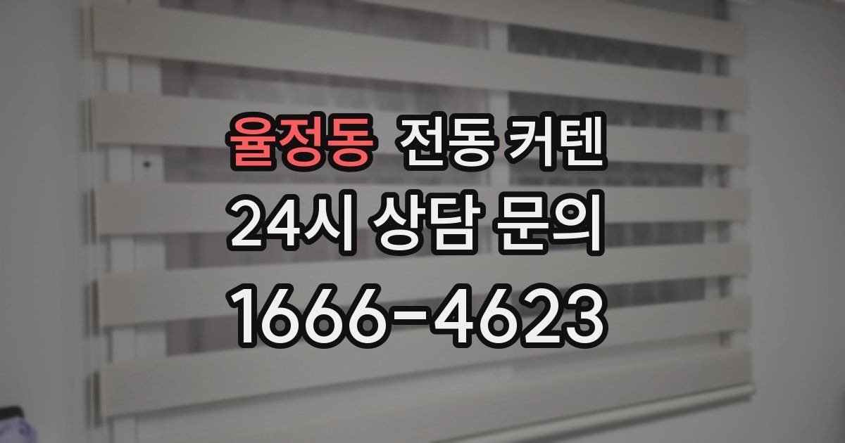 율정동 전동 커텐