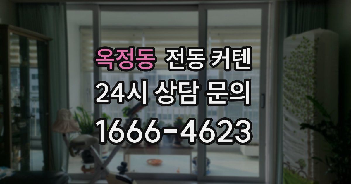 옥정동 전동 커텐