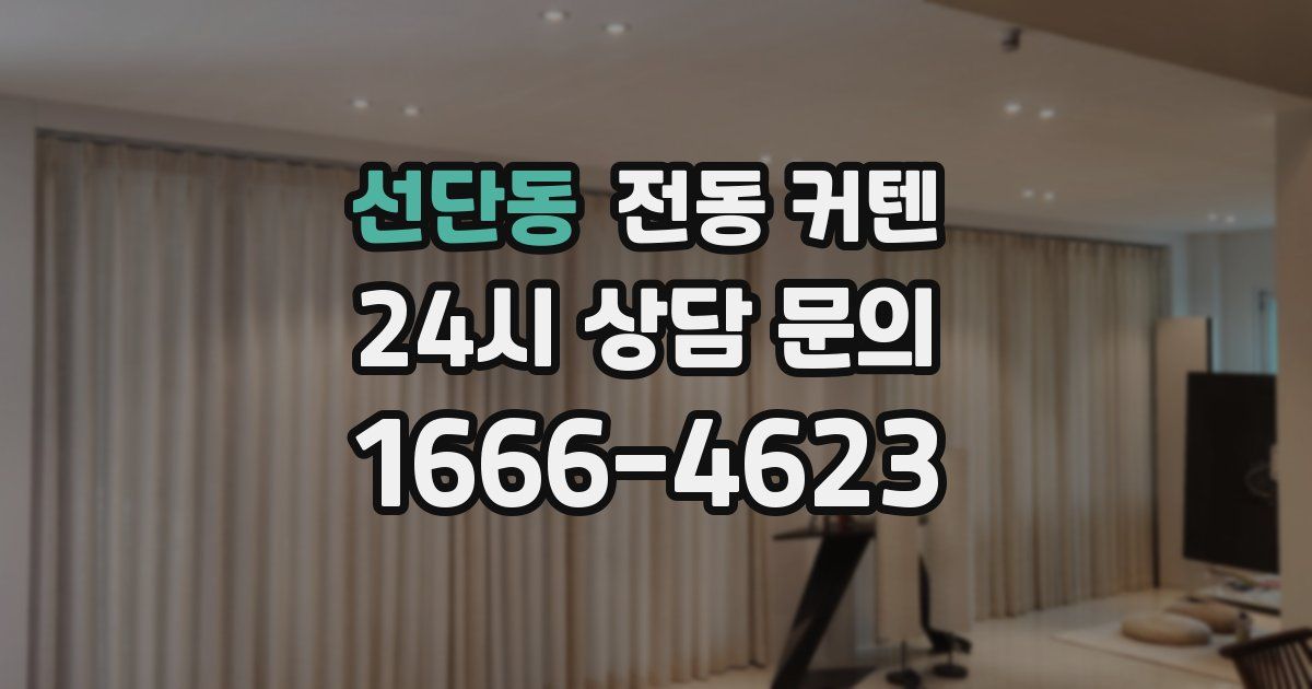 선단동 전동 커텐