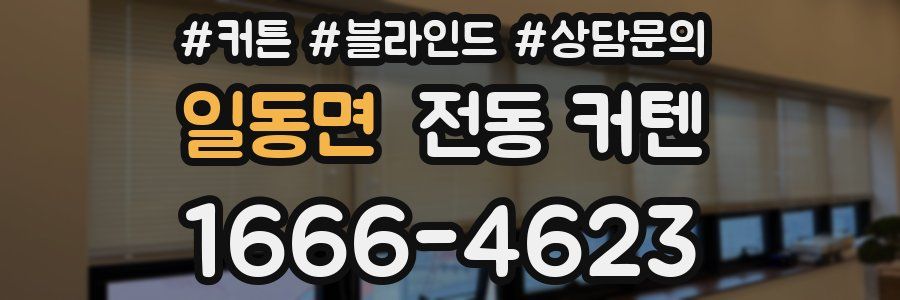 일동면 전동 커텐