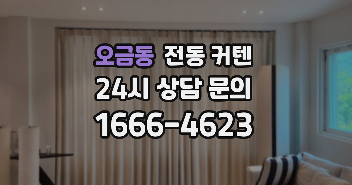오금동 전동 커텐