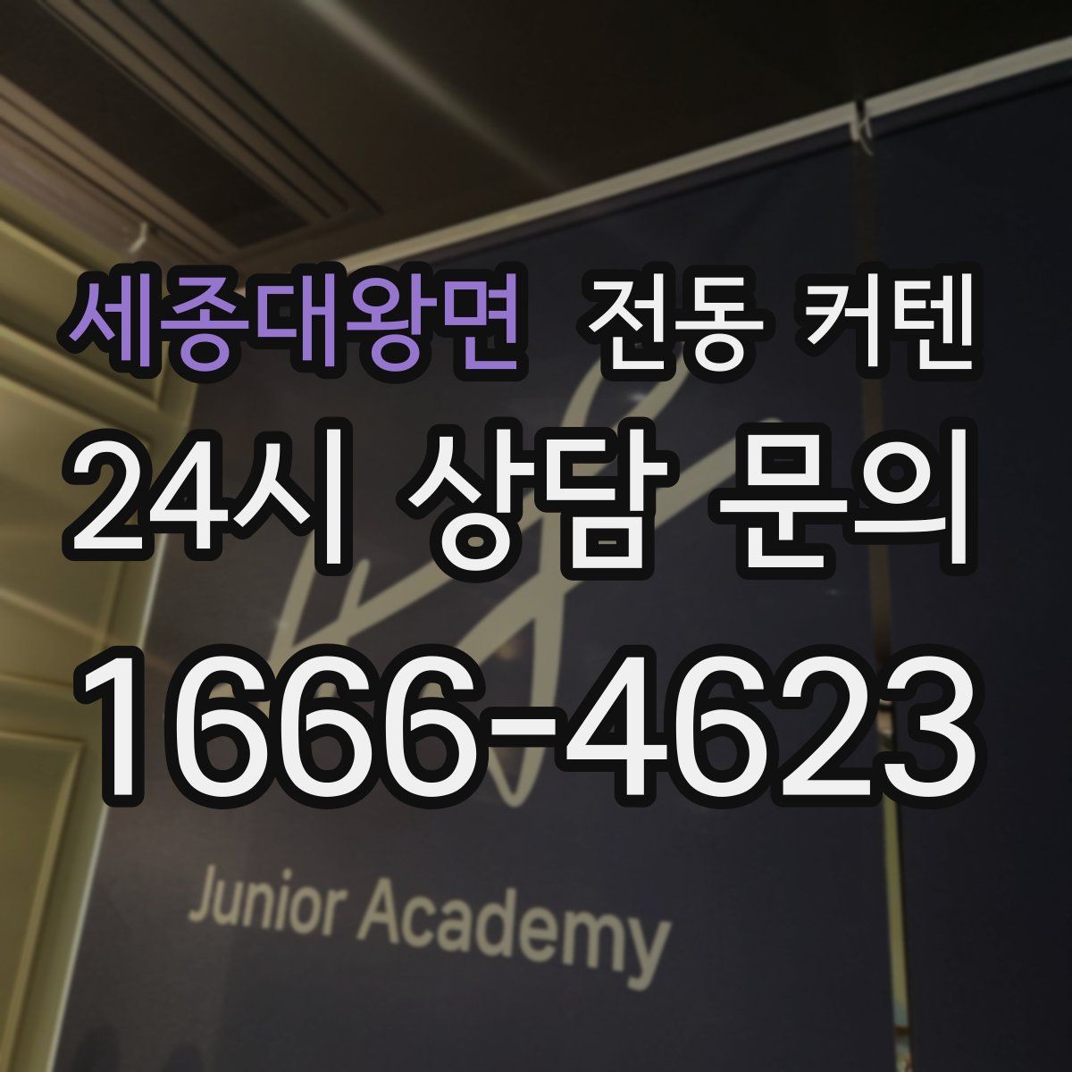 세종대왕면 전동 커텐